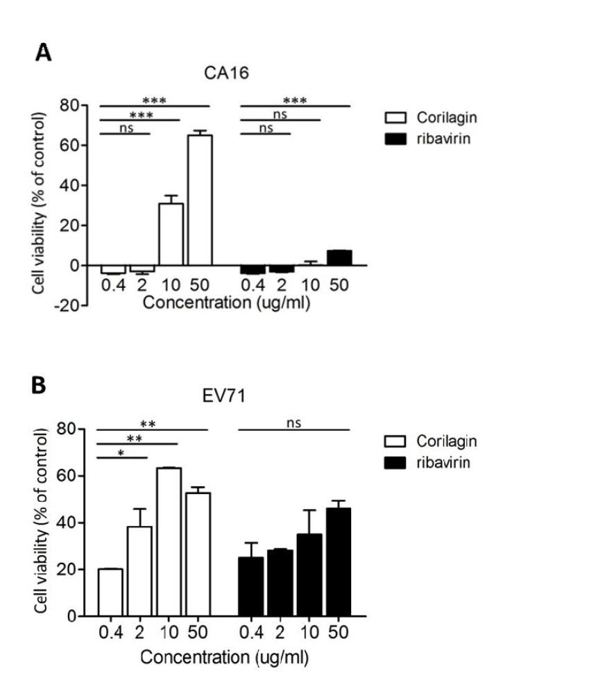 The antiviral activity of corilagin against CA16 and EV71.