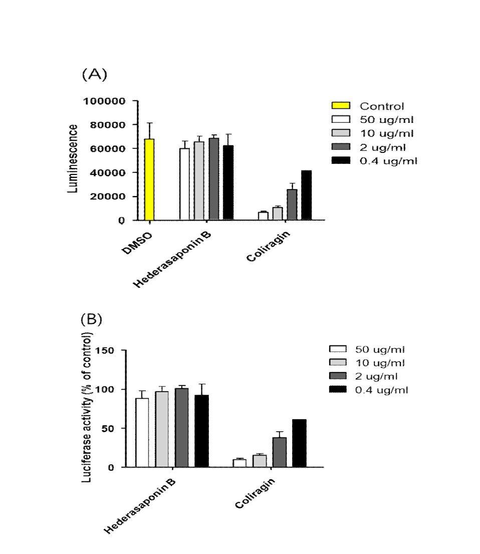 Effects of Hederasaponin B and Corilagin to EV71 replicon Luciferase activities were estimated after treatment of hederasaponin B and corilagin in EV71 ransfected vero cell. Corilagin showed effectiveness against EV71 replicon dose dependently compared to hederasaponin B.(A) Luminescense data of antiviral agents against EV71 replicon (B) Luciferase activities data antiviral agents against EV71 replicon