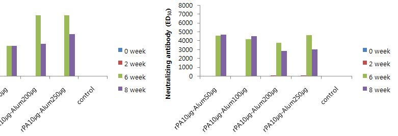 PA항원에 대한 중화항체가(ED50) 측정