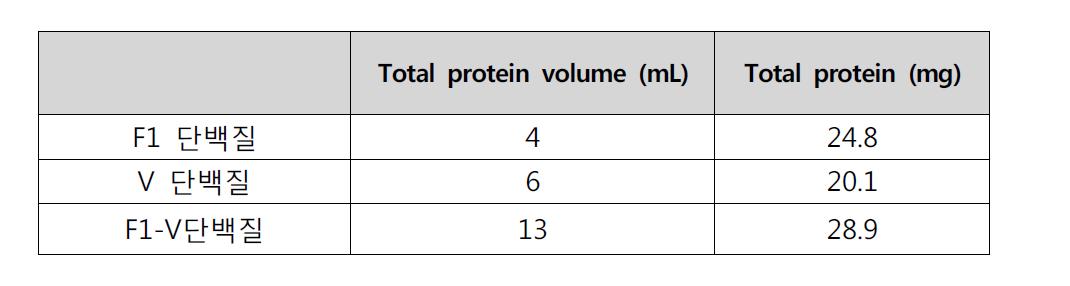 분리 정제된 F1 및 V 항원 단백질의 양