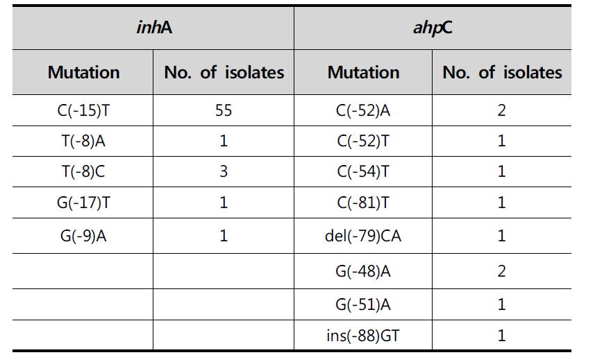 inhA 와 ahpC 유전자 상의 변이 분포