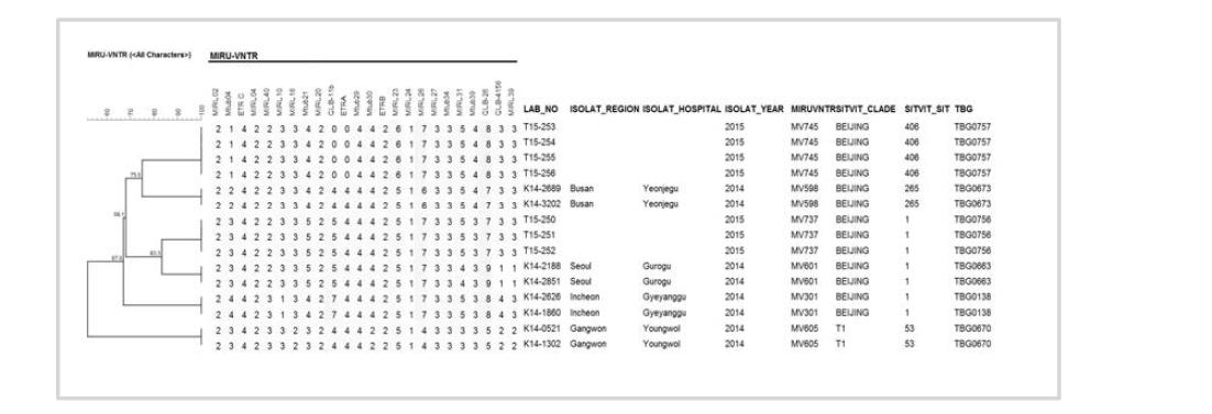 동일환자 연속분리주 MIRU-VNTR의 dendroram