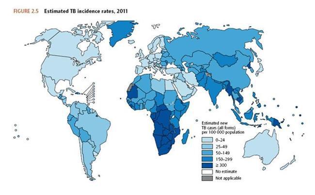 2011년 전 세계 결핵발생 현황