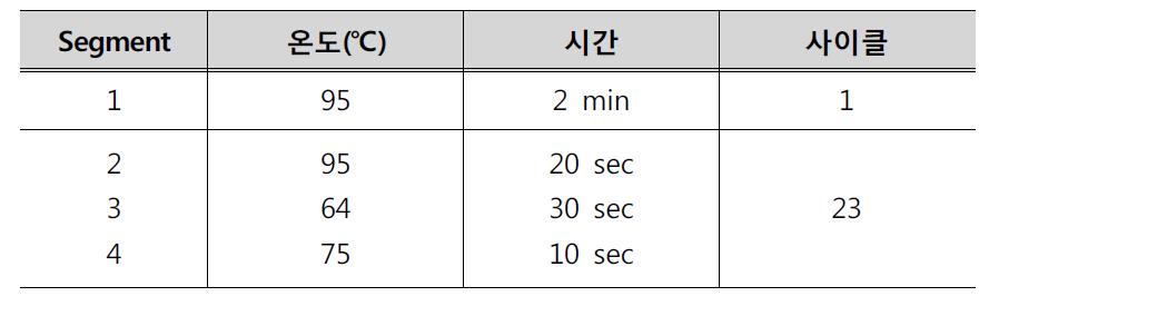 RT-PCR4 검사법의 PCR 조건