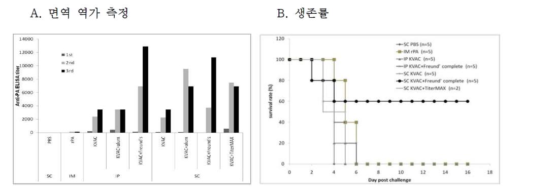 면역보조제에 따른 PA 특이항체가와 생존률 비교