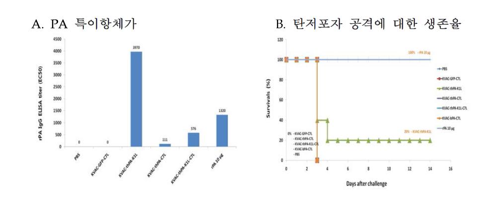 백신후보주의 PA 특이항체가와 탄저포자 공격에 대한 생존율