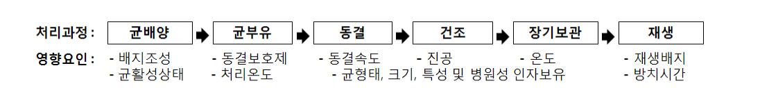 동결건조 단계별 생존율에 영향을 미칠 수 있는 요인들