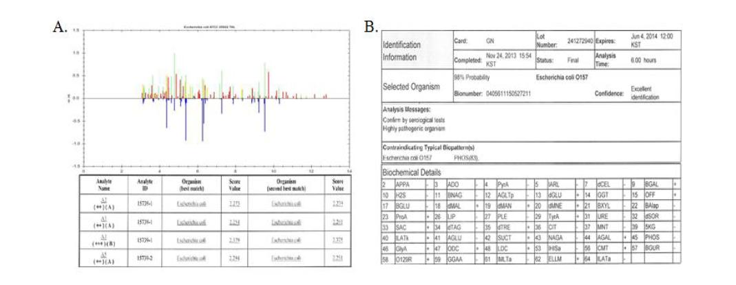 Species identification using MALDI-TOF biotyper (A) and VITEK (B)