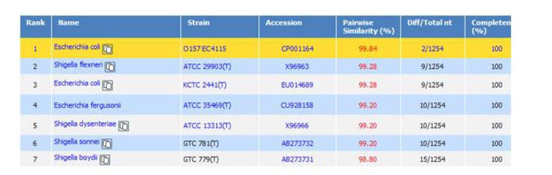 Homology search of 16S rRNA gene sequence based on EzTaxon Database