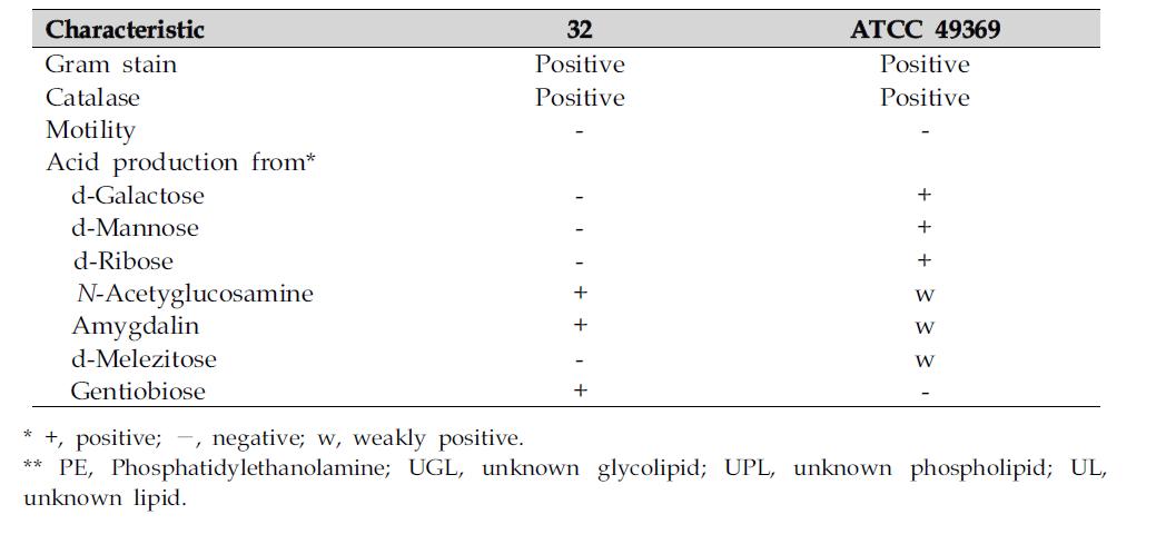 신종후보주 32와 Dermabacter hominis ATCC49369의 특성 비교