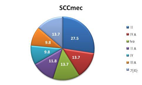 SCCmec 분석 결과