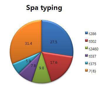 Spa type 분석 결과