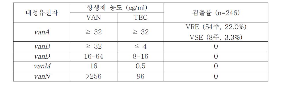 vancomycin 내성유전자의 분포