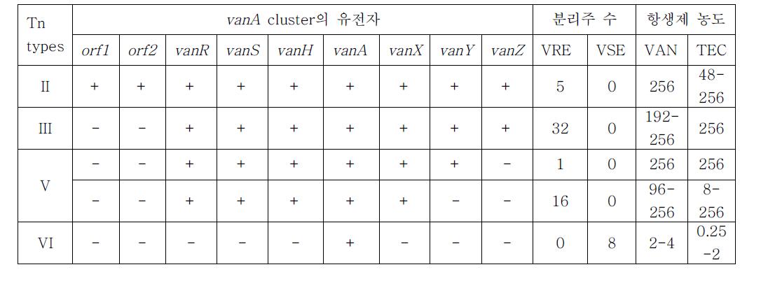 vanA형 VRE와 VSE에서의 vanA cluster 분석