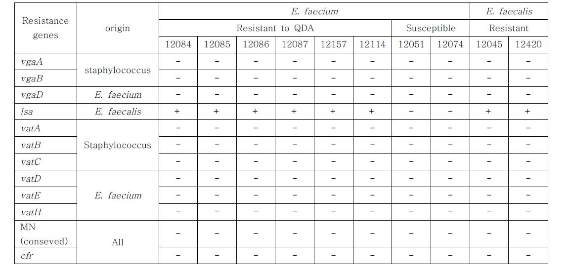 E. faecium과 E. faecalis에서 QDA 내성유전자의 분포