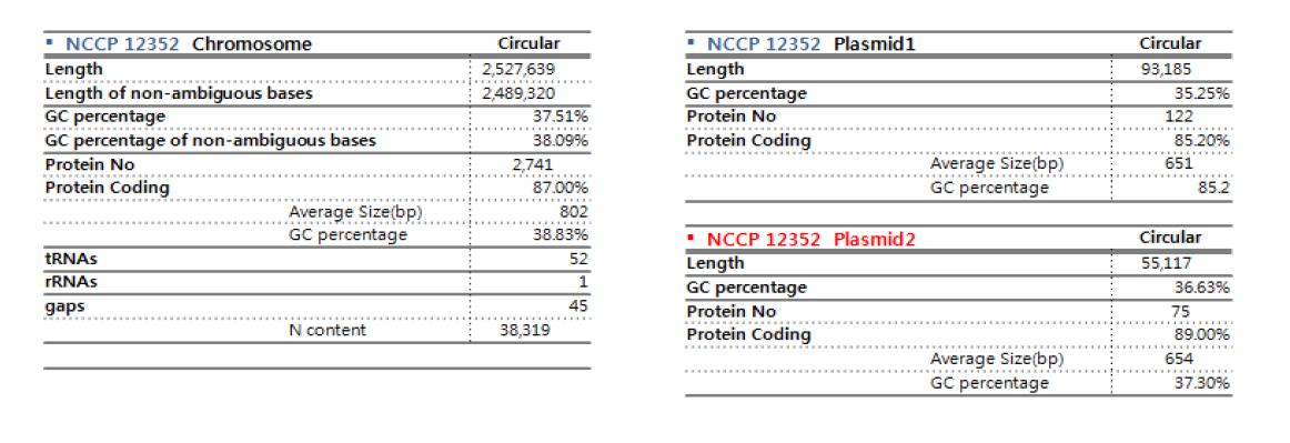 NCCP12352의 whole genome sequence 결과 요약