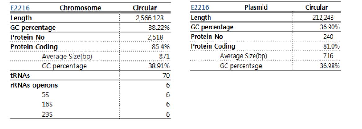 E. faecium E2216 whole genome sequence 결과 요약