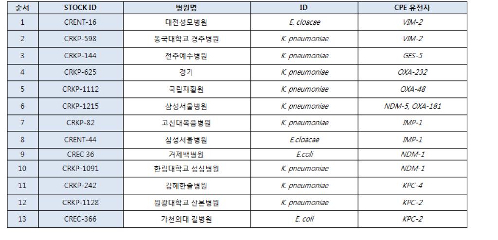 CPE생성 장내세균 선별균주