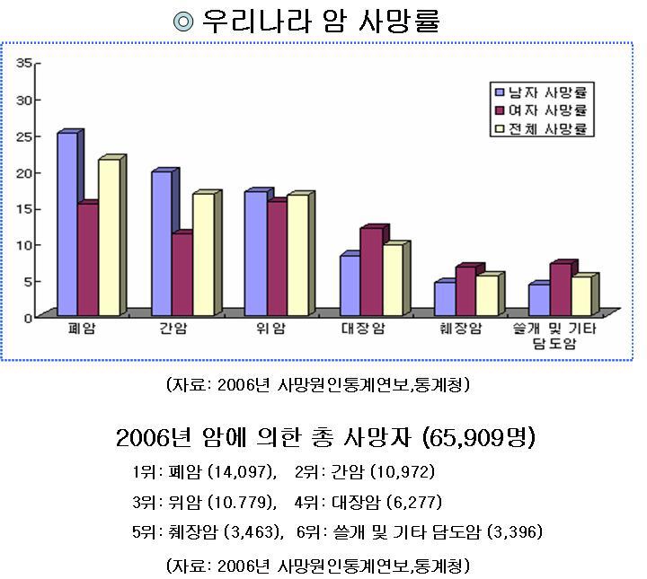 우리나라 암 사망률