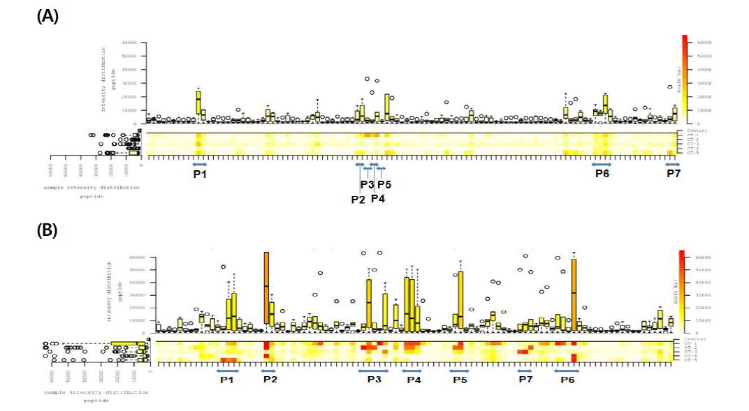 The result of epitope analysis from the 47 kDa (A) and 56 kDa (B) outer membrane proteins of O. tsutsugamushi Boryong strian.