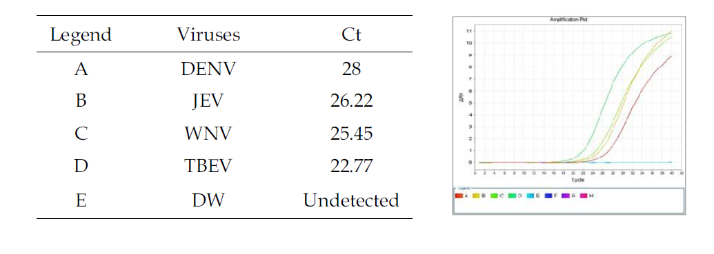 Universal primer to detect flaviviruses