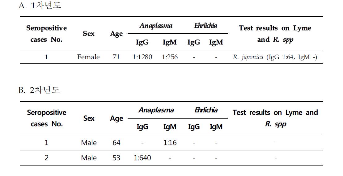 라임음성검체에 대한 아나플라즈마와 에르리키아 항체양성자에 대한 분석