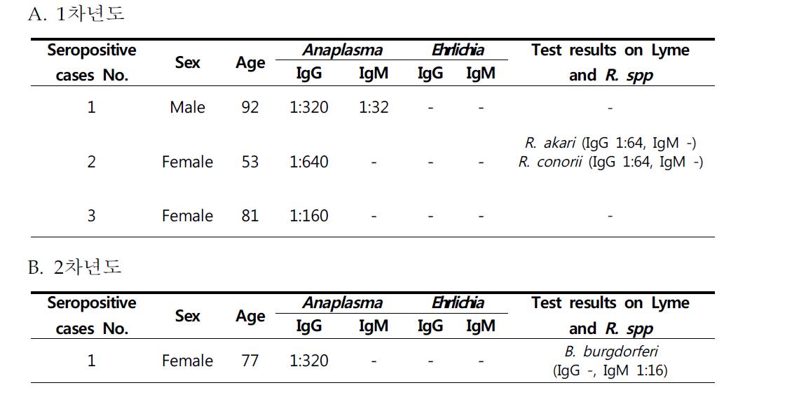 쯔쯔가무시증 의심검체에 대한 아나플라즈마와 에르리키아 항체양성자에 대한 분석