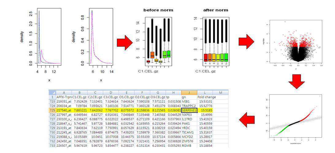 MAS5 및 Espresso 방법을 이용한 데이터의 보정 및 SAM을 이용한 유전자 발현 분석