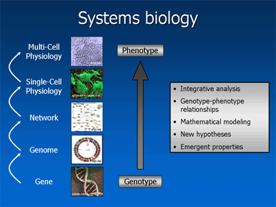 Gene to function in systems biology