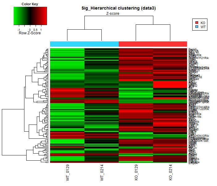 Cluster analysis-hierachical clustering heatmap