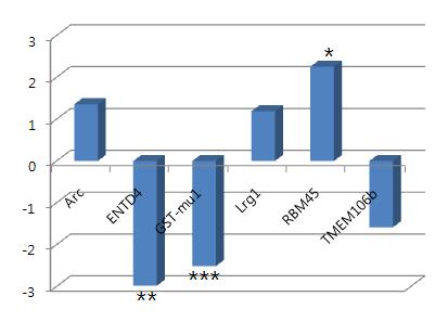 Quantitative RT-PCR of DEG in Nrf2(-/-) mice