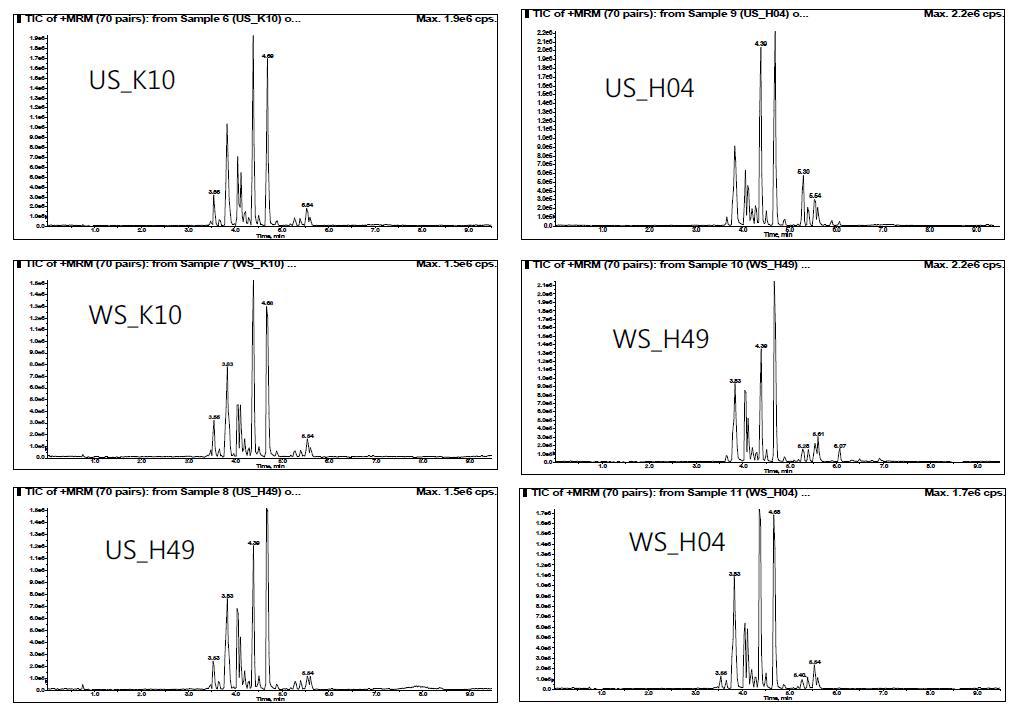 대사체 시료의 LC-MS chromatogram