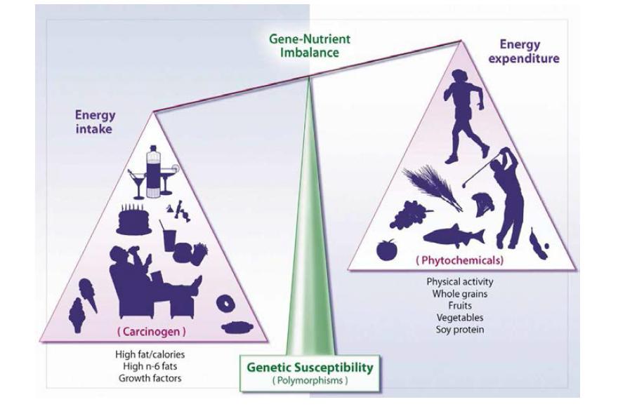 영양소-유전자의 관계