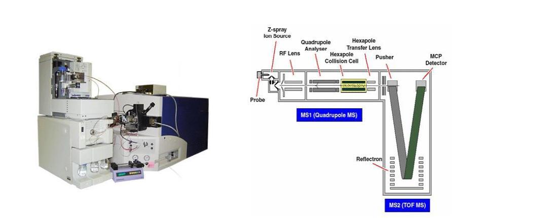 액체크로마토그래피-질량분석기와 Q-TOF MS (Quadruple-Time of flight mass spectrometry)의 구조