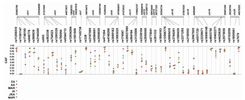 lipid traits에 관련된 SNPs의 인종에 따른 allele frequency