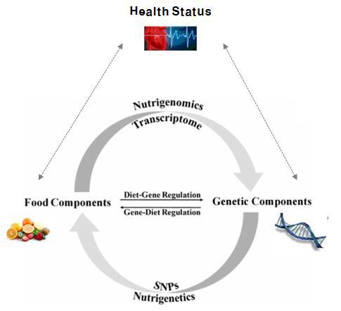 영양소-유전자-건강의 상호관계