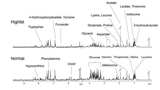 일반 식이와 고지방 식이 마우스의 NMR spectra