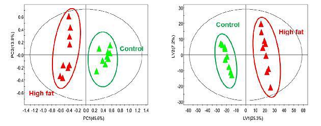 대변 샘플에서의 PCA (왼쪽)와 PLS-DA (오른쪽) Score plot