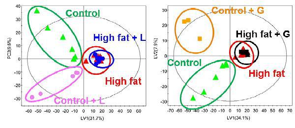일반식이와 고지방식이 마우스에서 PLS-DA score plot간에서의 linagliptin (왼쪽)과 Gemigliptin (오르쪽)
