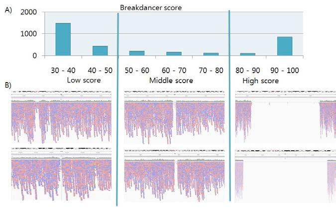 Breakdancer score parameter (A) 에 따라서 sampling한 bam file visual inspection (B).