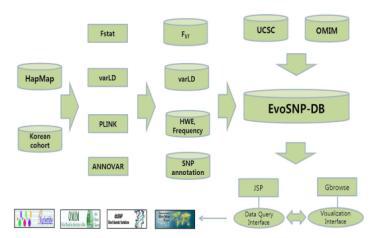 EvoSNP-DB의 모식도.