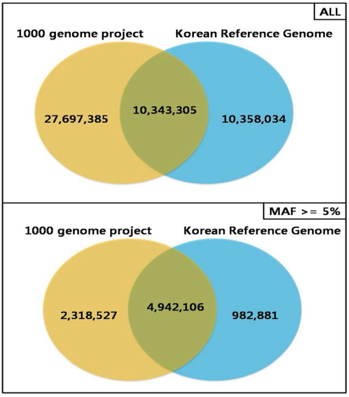 보고서 한국인 참조유전체 정보를 이용한 단일염기변이의 전장유전체 분석 기반 연구 2957