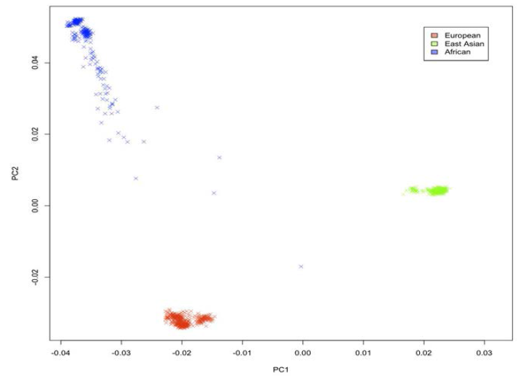 서양인, 동양인, 아프리카인으로 표기된 유전적 다양성 맵