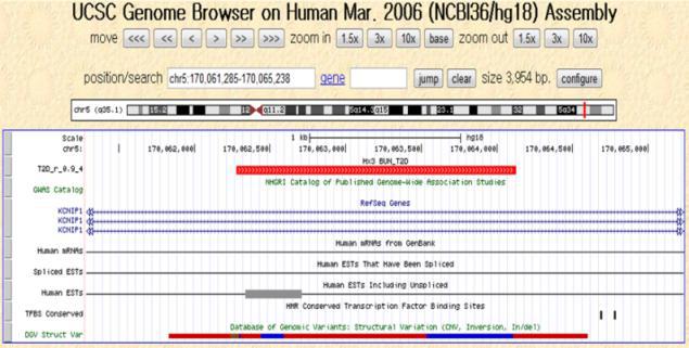 KCNIP1 유전자의 UCSC genome browser 특징