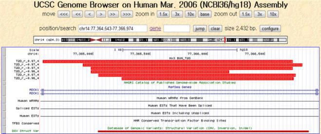 ADCK1 유전자의 UCSC genome browser 특징