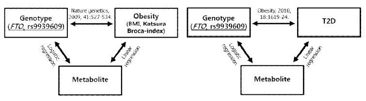 비만 및 당뇨 관련 유전자형에 따른 대사체 선별을 위한 분석 모식도