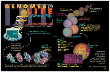 유전체-전사체-단백체/대사체 네트워크-Microbiome으로 이어지는 연구타겟 및 주요 목표