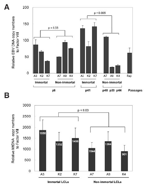 Copy numbers of the EBV genome and mitochondrial DNA in immortal and non-immortal LCL strains