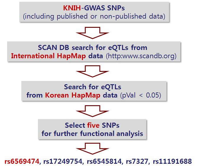 eQTL approach for selecting candidate functional variants