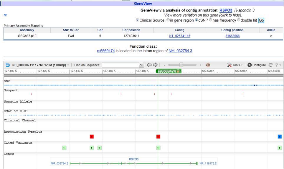 Genomic location of a BUN-associated genetic variant